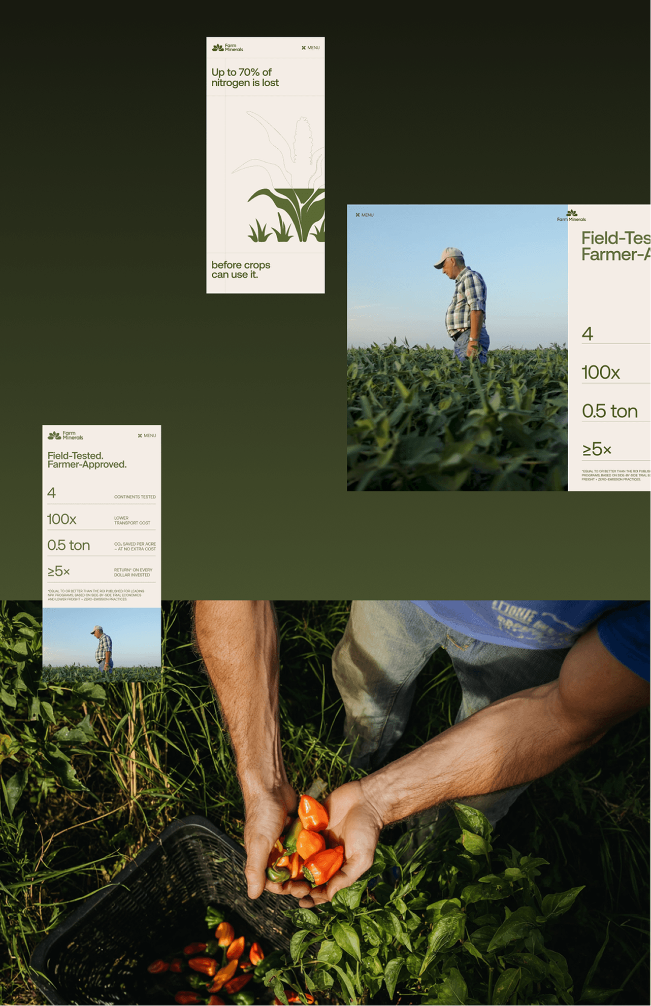 Green Harvest laptop and visual mosaic